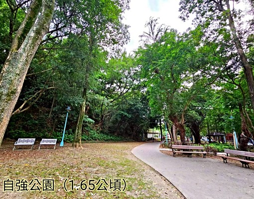 近環球購物中心|全新LG洗脫烘|可租補|可貓|免仲介費 - Image 13