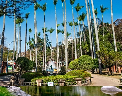 一個人的窩【在嘉義公園找到幸福】 - Image 3