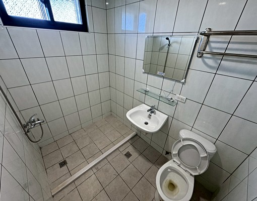 新社國小全新整理四房★現況無冷氣★可寵物 - Image 5