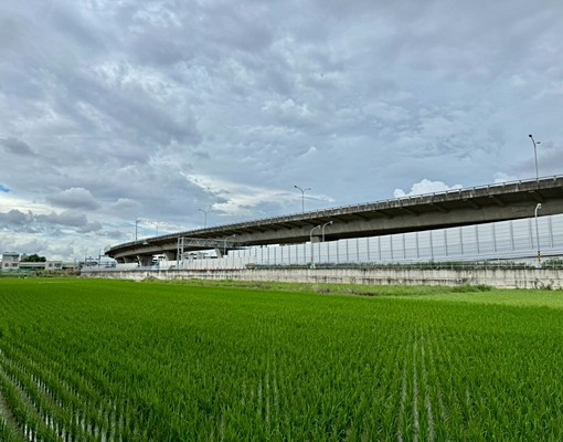 C大晟社宅免仲費全新清水模風格可寵透天三房好停車近74草湖 - Image 2