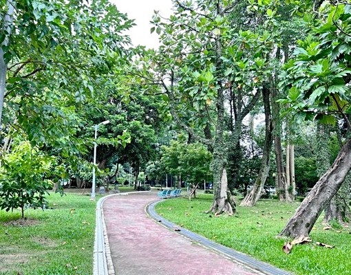 近捷運景美站●可入戶籍和申請租屋補助,也可接受擺神桌 - Image 15