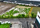 大寮區-磚子磘段土地，411.4坪