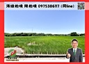 大肚區-土地，512.7坪