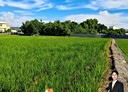 清水區-土地，598坪