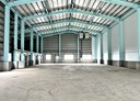 新屋區-台61線廠房，705坪