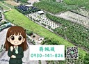 長治鄉-土地，1768坪