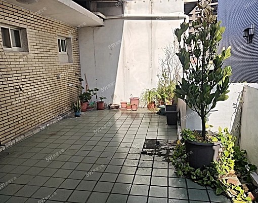 近頂溪站可租補可寵物溫馨採光獨立陽台雙人大套房大空間可炊煮 - Image 8