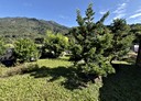高樹鄉-土地，368坪