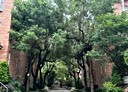 平鎮區-大勇街4房2廳，77.1坪