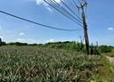 清水區-楊厝段土地，407.3坪