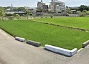 苑裡鎮-土地,100.7坪