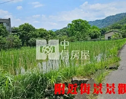 K876未來三鶯線橫溪站農地溪南段💖中信劉蕙蘭
