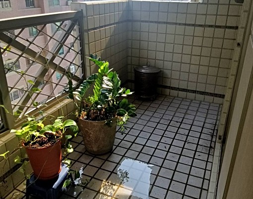 鄰近安平國小/生活機能便利 - Image 7