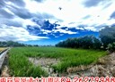 清水區-土地，1435.1坪