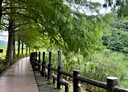 員山鄉-枕山一段土地,1219坪