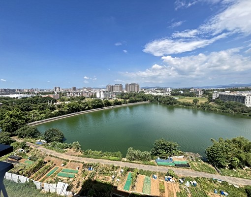 🐯鼎藏青塘全新景觀精美大套房🐯 - Image 7