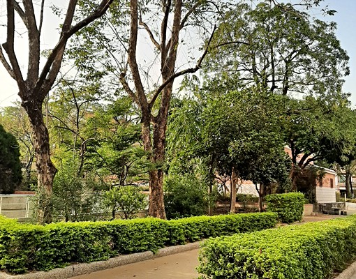 (本物件免仲介費)出門即公園,免費室內機車位,間間對外窗 - Image 2