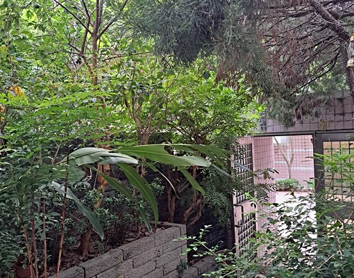 國家藝術園區優美社區獨棟別墅花園車庫 - Image 15