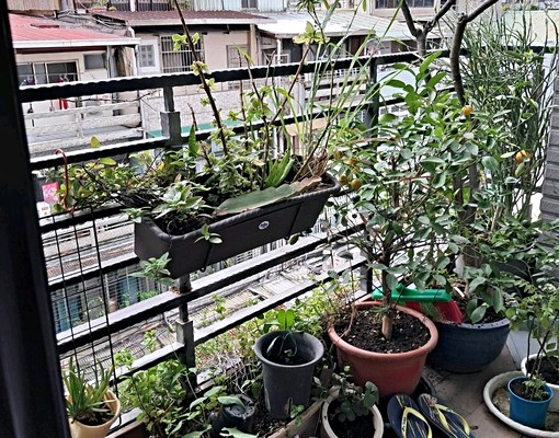 新電梯大樓/有保全十分安全/坐南朝北舒適 - Image 10