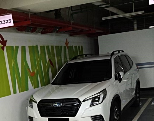 ⭐️柏悅府【平面車位】出租 - Image 2