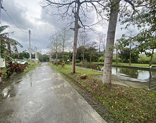 花蓮市豐村路近慈濟附車位套房(免服務費)獨立洗衣機 - Image 4