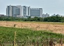朴子市-土地，708坪