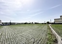 后里區-土地，2356.1坪