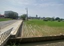 中壢區-山下段土地，181坪