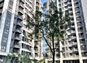 中壢區-領航南路四段4房2廳，65.3坪
