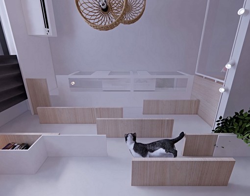 貓咪天堂,百萬裝潢,三井outlet對面,屋主誠意自租🐈 - Image 5