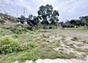 草屯鎮-坪頂段土地，882.3坪
