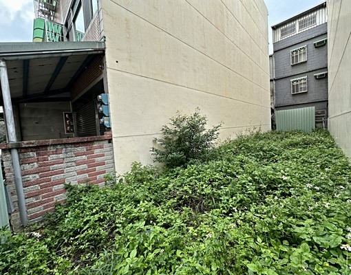 龍岡忠貞市場稀有建地~快來電