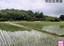 竹北市-東海二街土地，99坪