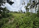 太平區-頭汴坑段土地，1676坪