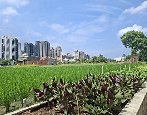 竹北租屋高鐵近台大生醫。孝親房家具家電採光視野 - Image 1