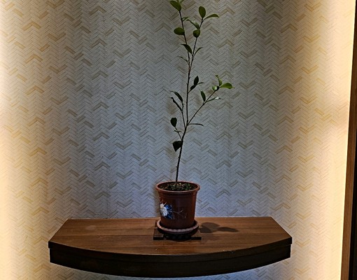 花蓮後站自強國中優質獨立套房出租（近慈濟大學、慈濟醫院） - Image 5