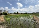 竹北市-土地，384.1坪