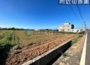 新豐鄉-青埔子段土地，766.5坪