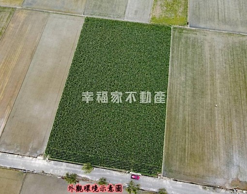 🔥【專案】水林牛埔段6分方正農🔥