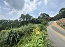 新埔鎮-南平路土地，1247坪