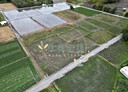 吉安鄉-光英段土地，1168.7坪