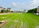竹南鎮-土地，859.1坪