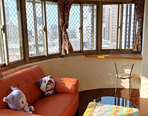 ❤類一房廳❤逢甲/僑光❤近74/朝馬中科 - Image 10