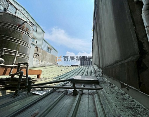寄居蟹社會住宅🏠可神明廳、養貓!捷運450M - Image 10