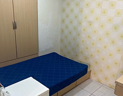 誠出租寵物台南安平設備完善住的舒服有家的感覺 - Image 5