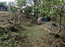 太平區-頭汴坑段土地，756坪