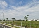 善化區-善福大道土地，618.6坪