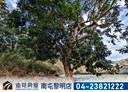北屯區-大榮段土地，1493.2坪