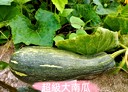 豐原區-上南坑段土地，756.3坪