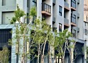 彰化市-瑞陽街2房2廳，30.8坪